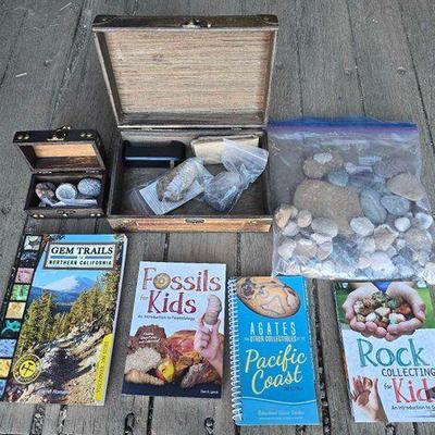 #10038 • Rocks, Fossils, and Books
