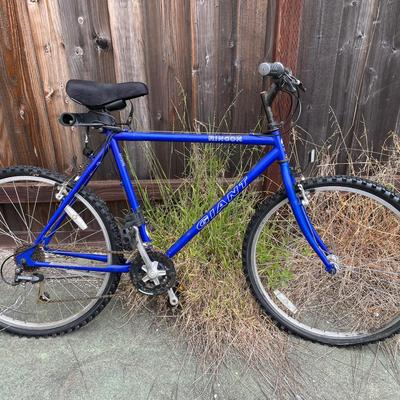 Giant Rincon Mountain Bike – 21-Speed – Vintage Steel Frame MTB