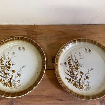 Pair of Mikasa "Autumn Breeze" Salad Plates – Manor House Stoneware