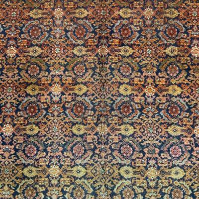 Vintage Fringed Oriental Wool Area Rug
