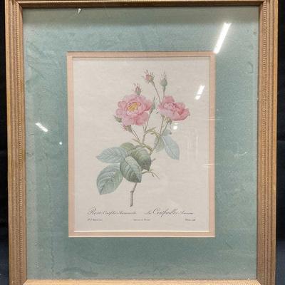 After Redoute Anemone Flowered Rose Litho
