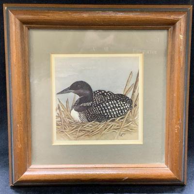 Framed Loon Lithograph
