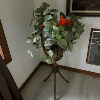 Plant and Stand