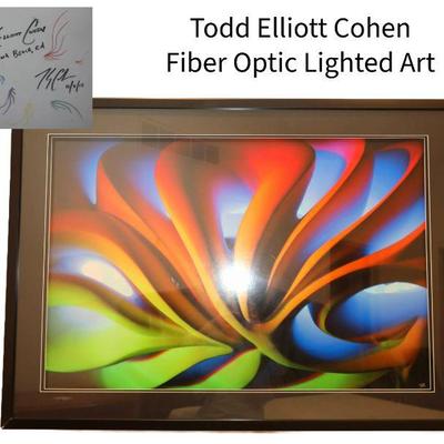 Todd Elliott Cohen, Laguna Beach Fiberoptic art