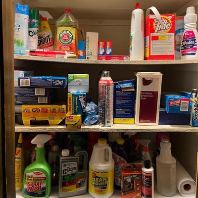 Cleaning Closet 