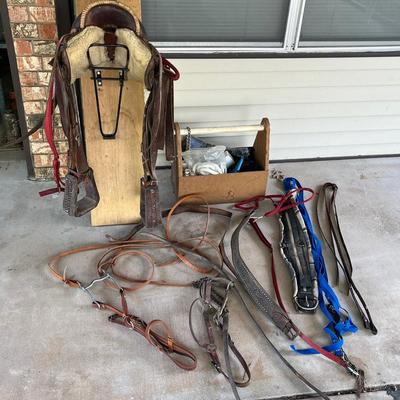 Horsin’ Around 