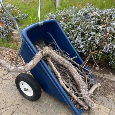 Wheelbarrow 