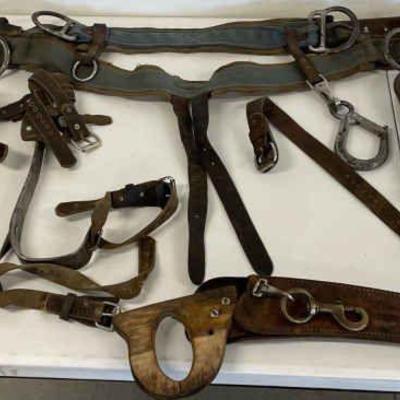 Linesman Belt & Climbing Spurs