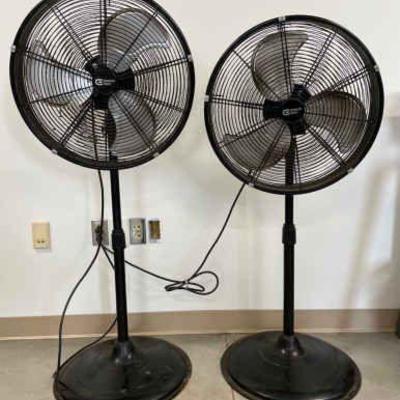 Fans by Commercial Electric