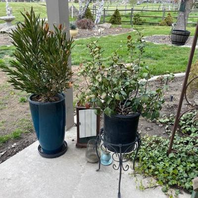 Planters 