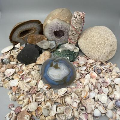 From The Land & From The Sea: Many Agates