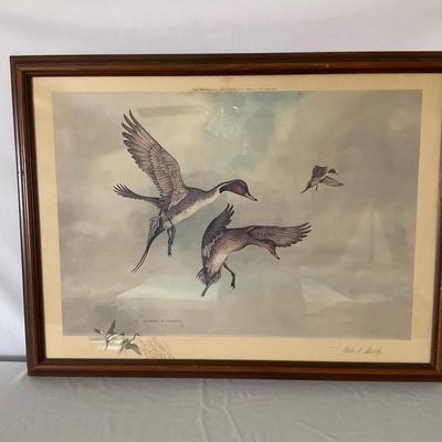 “Pintails” Authentic Print By Charles E. Murphy