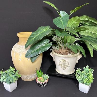Plants & Pottery
