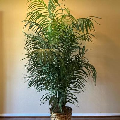 Artificial Plant Lot 2