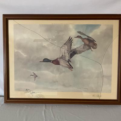 “Mallards” Authentic Print By Charles E Murphy