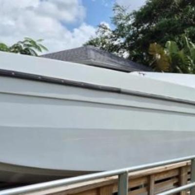 https://auctions4america.proxibid.com/Auctions-4-America/1985-Chris-Craft-31-ft-Catamaran/event-catalog/278077