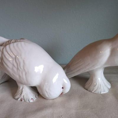 Doves/Pigeons Made in Italy