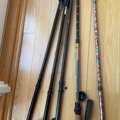 Assorted Walking Canes