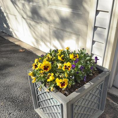 Two Lattice Design Planters