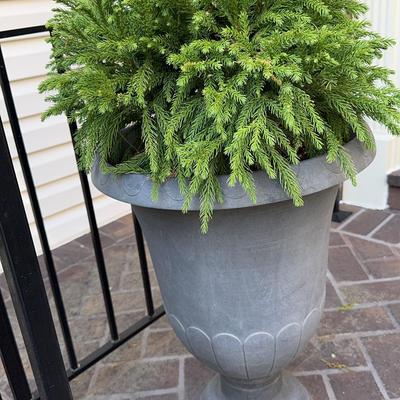 Two Urn Planters