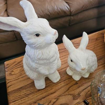 Bunnies