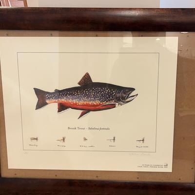 Wood-Framed Signed “Brook Trout - Salvelinus Fontinalis” Print