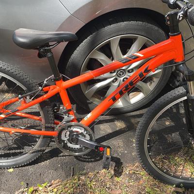 Ornate Trek Precaliber Mountain Bike