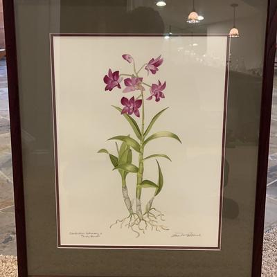 Wood-Framed Signed Brian McPartland “Debdrobium Inthuvong X Trudy Brandt Original Watercolor