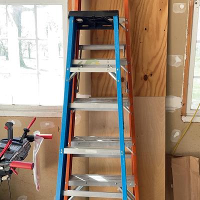 Pair of Ladders Werner & Husky