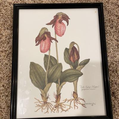 Framed Floral Prints