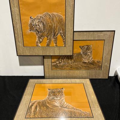 L. Hedlund 76’ 77’ Original Signed Bengal Tiger Trio 