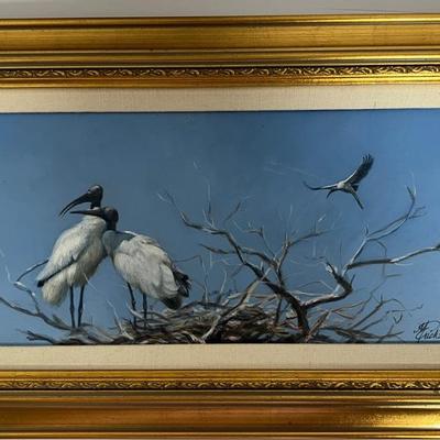 Wood Storks