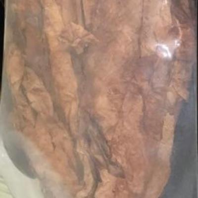 tobacco