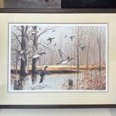 “Timber-Wood Ducks” by Maynard Reece Large Framed Print 500/950