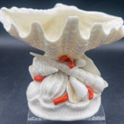 Rare Irish Belleek Cardium On Shell