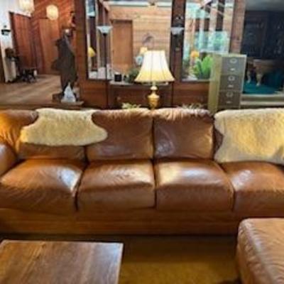 Arizona Leather couches 