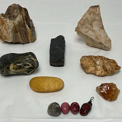 Petrified Wood, Rocks, Minerals, Gemstones Lot