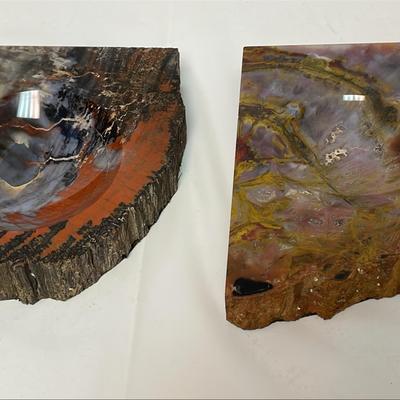 Live Edge Petrified Wood Trinket Bowls