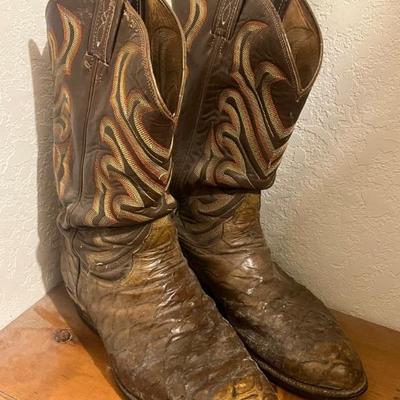 Vintage Anteater Cowboy Boots 