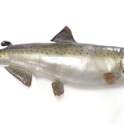 48" King Salmon Chinook Fish Mount