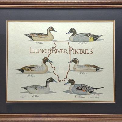 P. Shertz Signed AP Illinois River Decoy Art Print