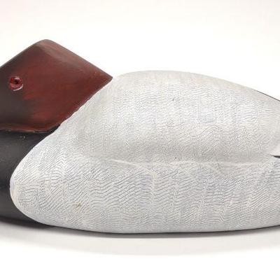 Doug Gates Tucked Head Canvasback Drake Duck Decoy