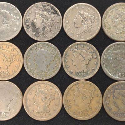 (12) US Coronet Head & Braided Hair Large Cents
