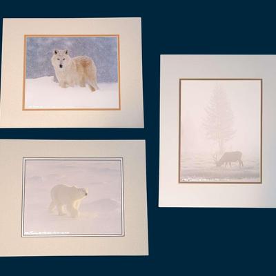 Signed & Matted Phil Sonier Photographs (3)