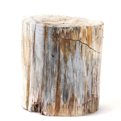 Lot 221 petrified wood stump 50 lbs