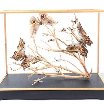 Lot 336 glass cased butterfly diorama