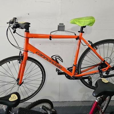Cannondale Adult Bike