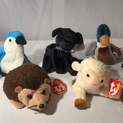 Beanie Babies (8)