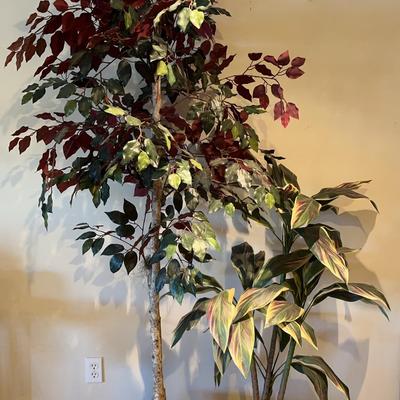 Faux Ficus And Hawaiian Ti