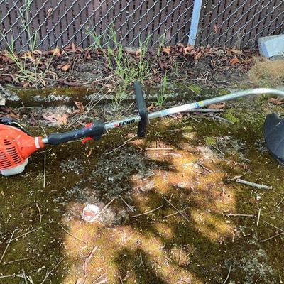 Echo Gas Weeder
